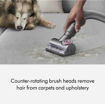 Dyson UP30 Ball Animal 3 | Nickel/Silver